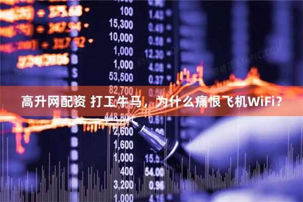 高升网配资 打工牛马，为什么痛恨飞机WiFi？
